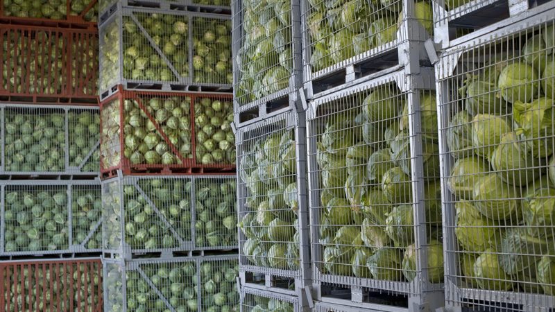 Read more about the article Perishable Logistics Services