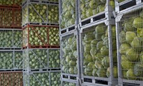 perishable-logistics3