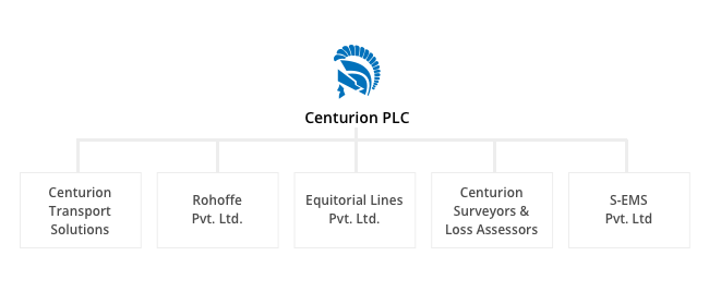 CTS_GROUP_STRUCTURE — Centurion PLC